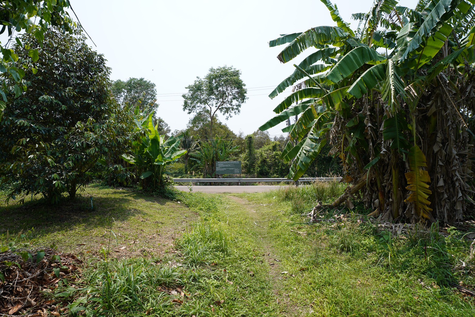 ขายที่ดินจันทบุรี น้ำไม่ท่วม